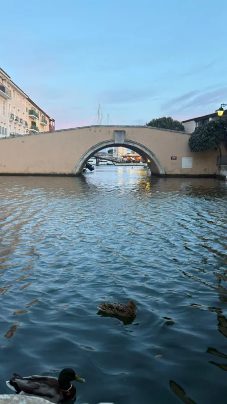 Restaurant, Grimaud, Lily's